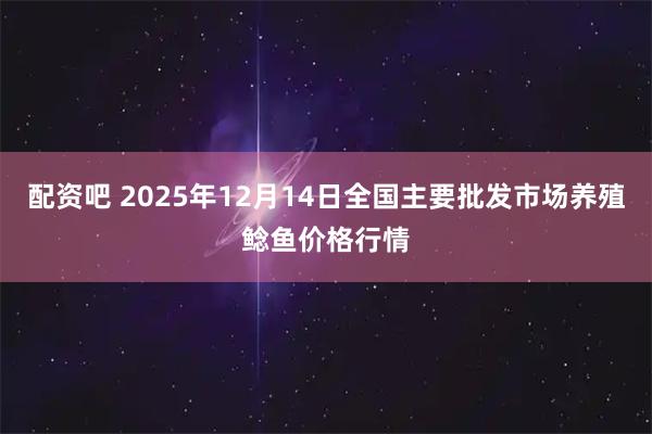 配资吧 2025年12月14日全国主要批发市场养殖鲶鱼价格行情